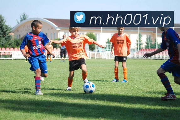 火狐体育官网首页平台生态图