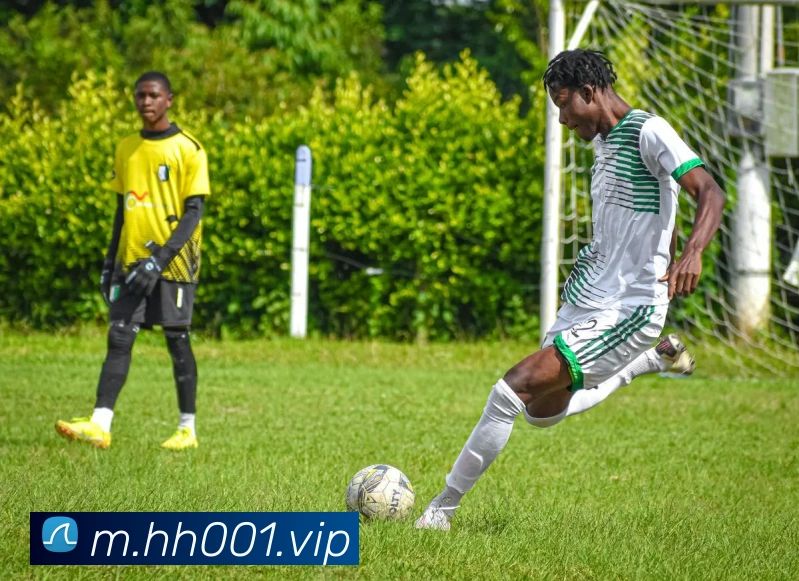 火狐体育官网首页APP 封面图